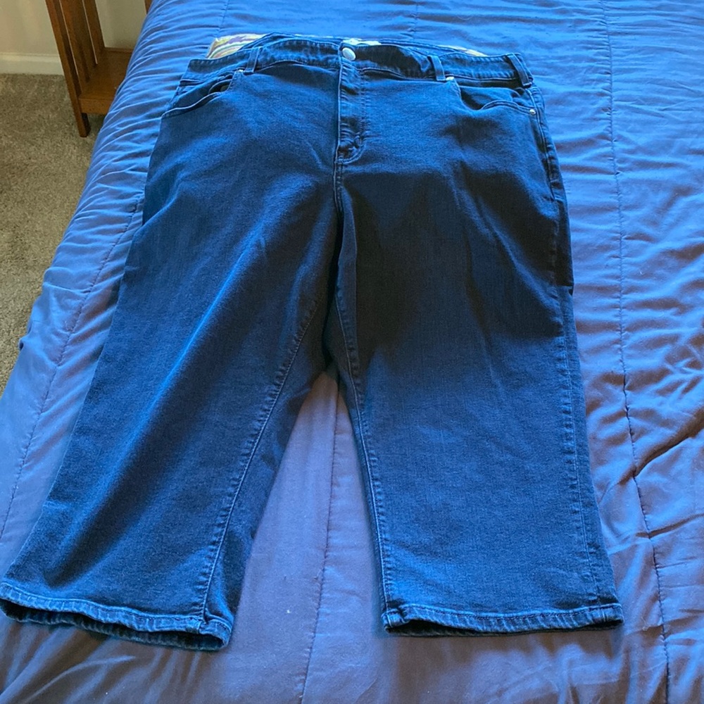 Lane Bryant Flex Magic High Rise Curvy Fit Pedal
